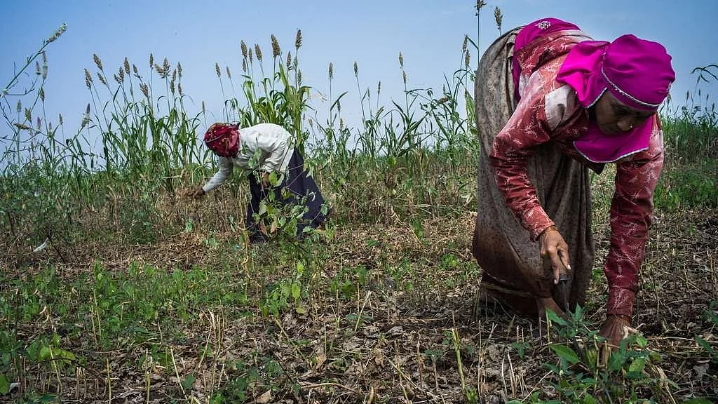 144% Rise in Funds Is Not Enough to Fight Agricultural Crisis