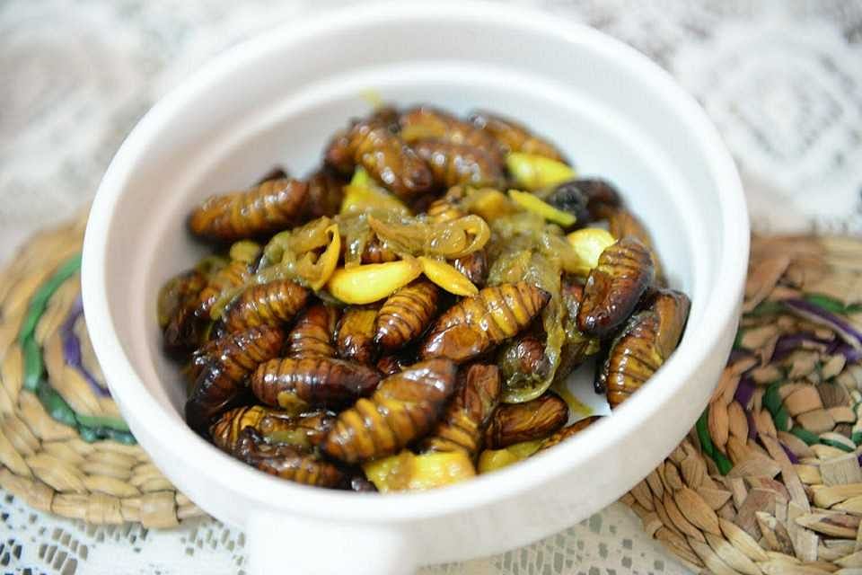 Wanna try red ant eggs and stir-fried silkworm pupae? Reach out to this Mumbai-based Assamese home chef.