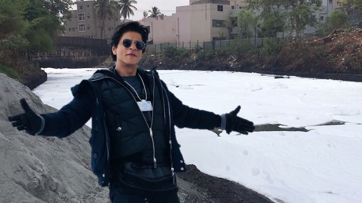 RJs Want Shah Rukh to Dance in Front of Bengaluru’s Burning Lakes!