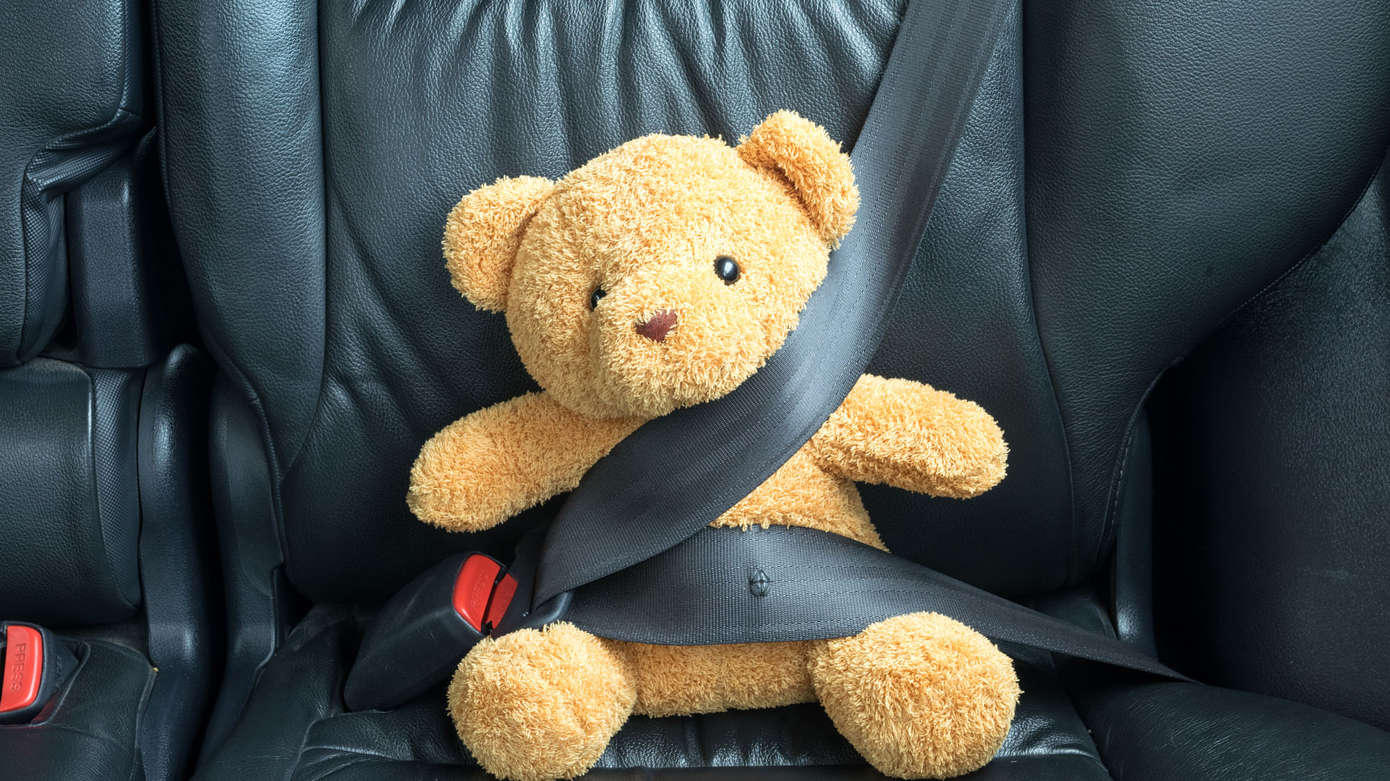 Let’s keep children safe on the road.
