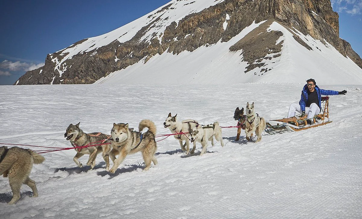 Ranveer Singh on a sledge-ride with huskies. 