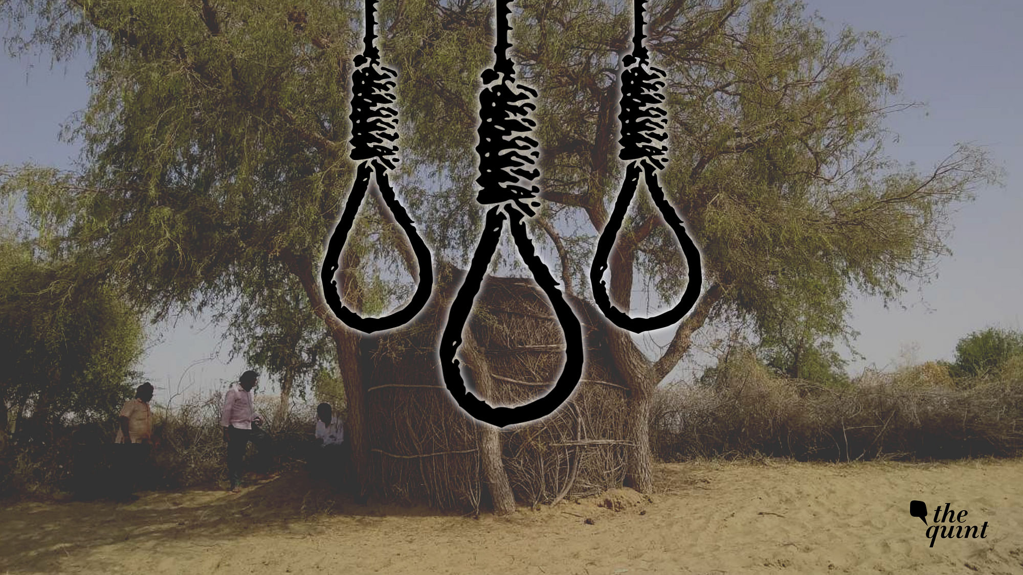 Shanti Meghwal, 14, Madhu Meghwal, 14 and Desal Khan, 17, were found hanging from this tree in Rajasthan’s Sarupe Ka Tala village on 13 April.