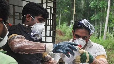 The blood and serum samples of 21 bats tested at the National Institute of High Security Animal Diseases in Bhopal returned negative results for the virus.