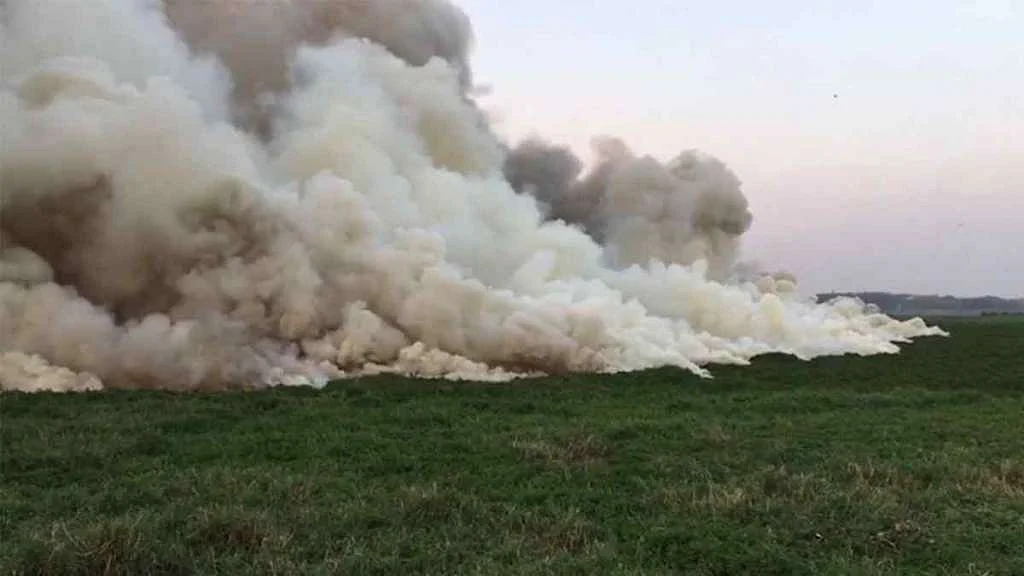 Smoke around the Bellandur lake in Bengaluru. 