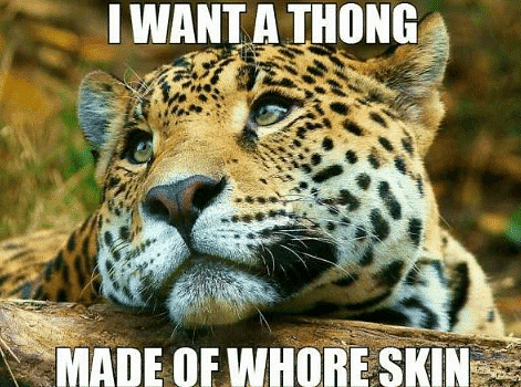 A notebook cover featuring a leopard reads “I Want a Thong made of Whore Skin,” has brought Reddit’s sarcastic best