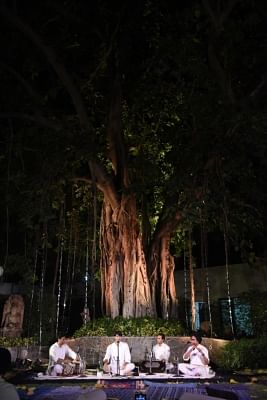 Under The Banyan Tree On A Full Moon Night, in the rain