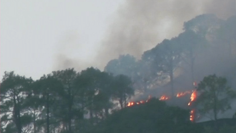 A major fire broke out in Trikuta Hills on Wednesday, 23 May