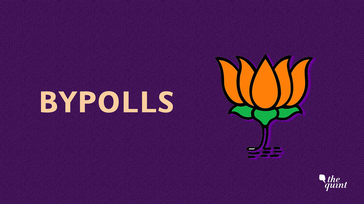 BJP’s Bypoll Diary Since 2014: Just 5 Out of 24 LS Seats it Fought