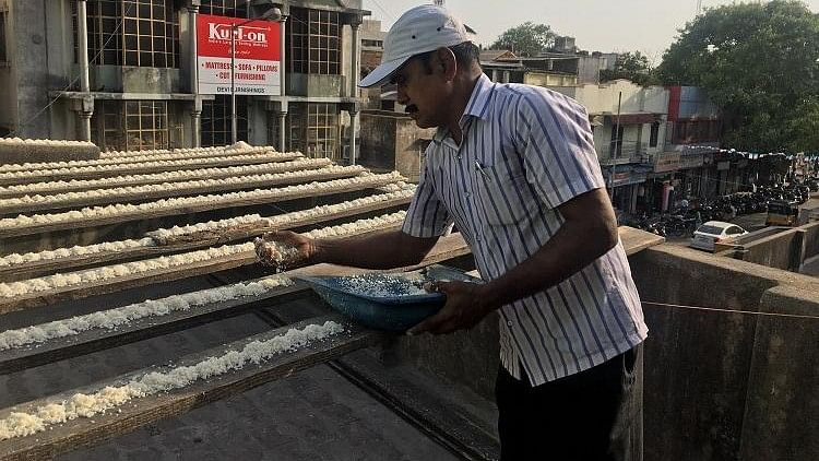 Sekhar prepares the feeding trays for the over-2,000 birds that he feeds daily.
