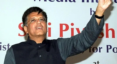 Interim Finance Minister Piyush Goyal. 
