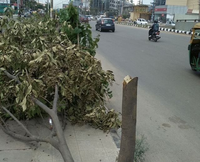 Around 25 trees near Iblur junction were hacked to advertise a realty project in Bengaluru.