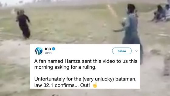 The ICC surprised a fan by acting as the third umpire. 
