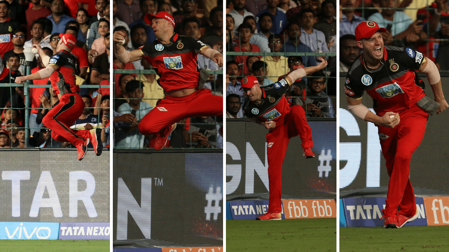 AB de Villiers took a leaping catch on the edge of the boundary line to pack off Alex Hales.