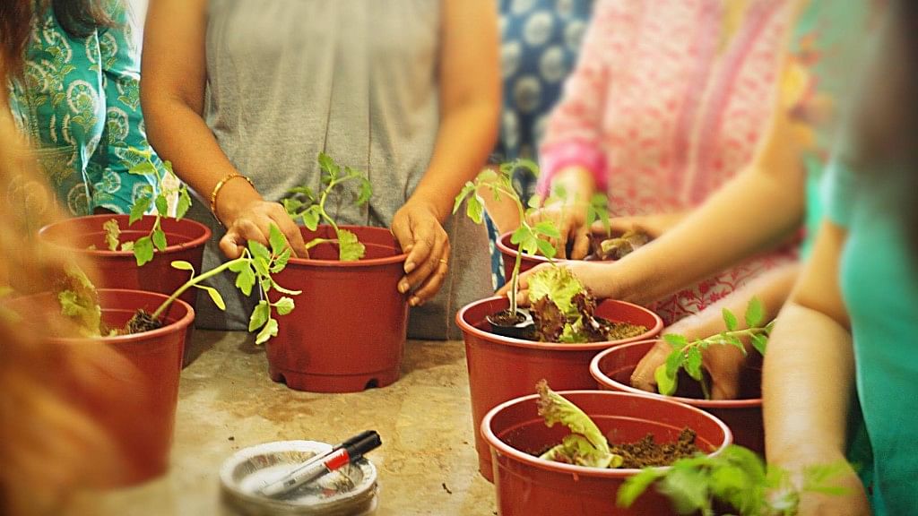 A gardening collective is working towards turning uncultivated lands into community gardens.