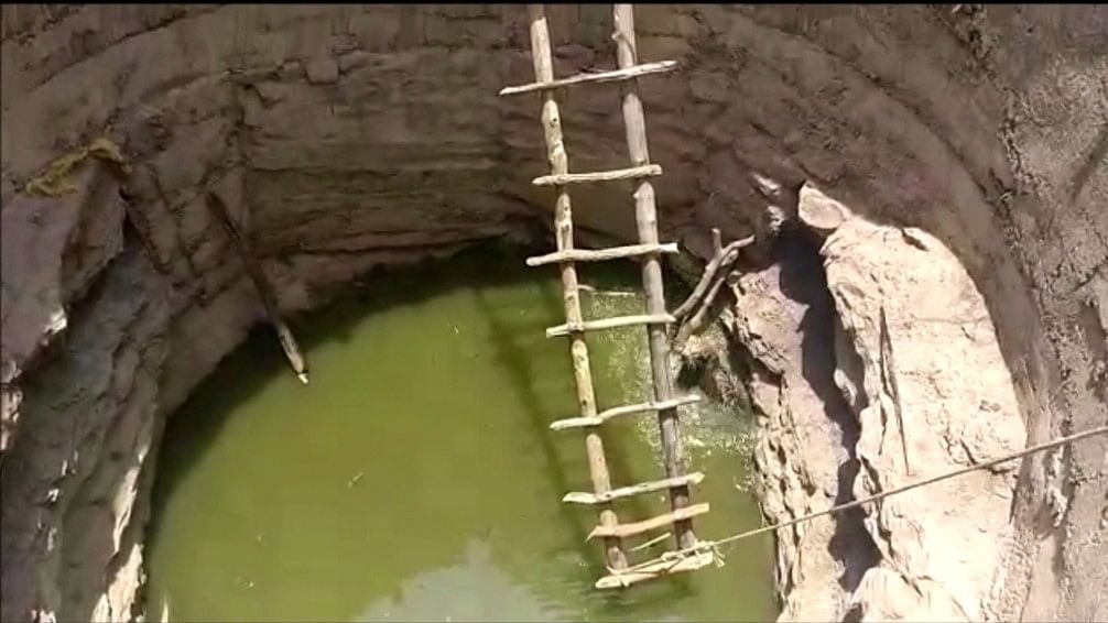 Leopard rescued from a well
