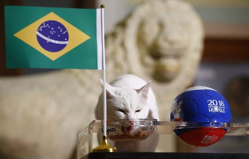 That is one satisfied face. Fortunately, Brazil repaid Achilles’ confidence in them