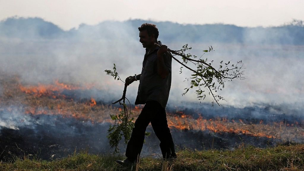 A farmer burns his the stubble left behind after harvesting crops. Image used for representational purposes.&nbsp;
