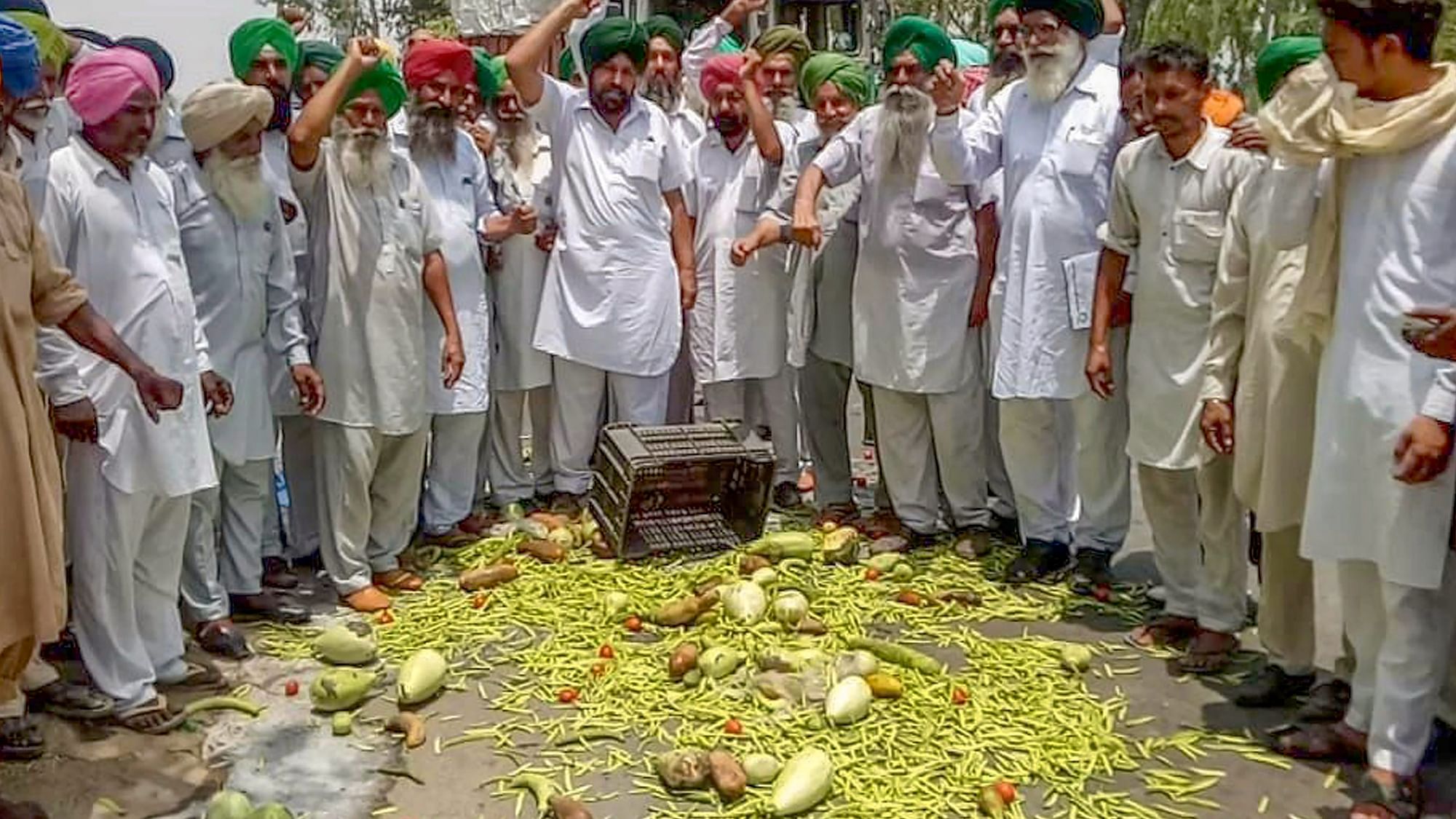 Farmers throw vegetables on a road during state-wide protests at Bagha Purana in Moga district of Punjab.