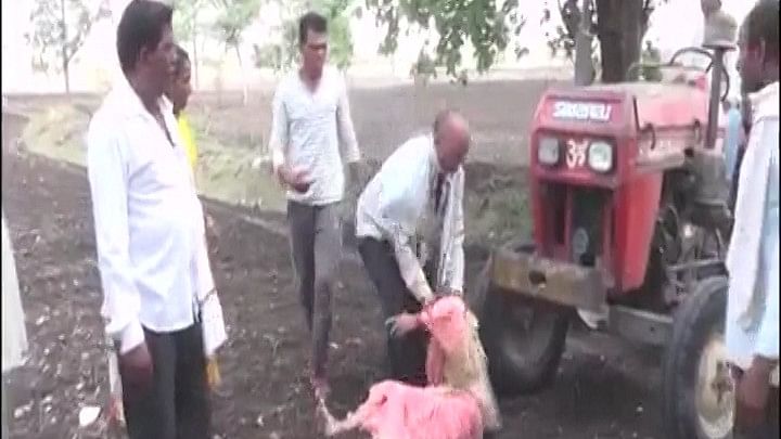 Man drags and pushes his mother in front of a tractor in Maharashtra’s Washim district.