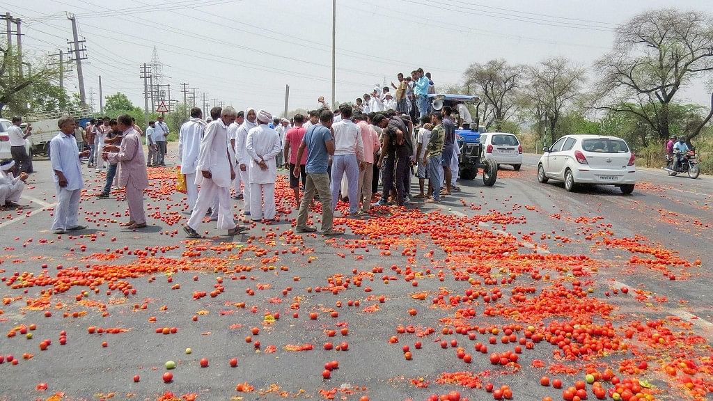 Vegetables lie scattered on a road as farmers protest enters third day, in Hisar, on 3 June, 2018.&nbsp;