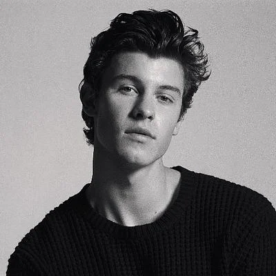 Shawn Mendes. (Photo: Twitter/@ShawnMendes)