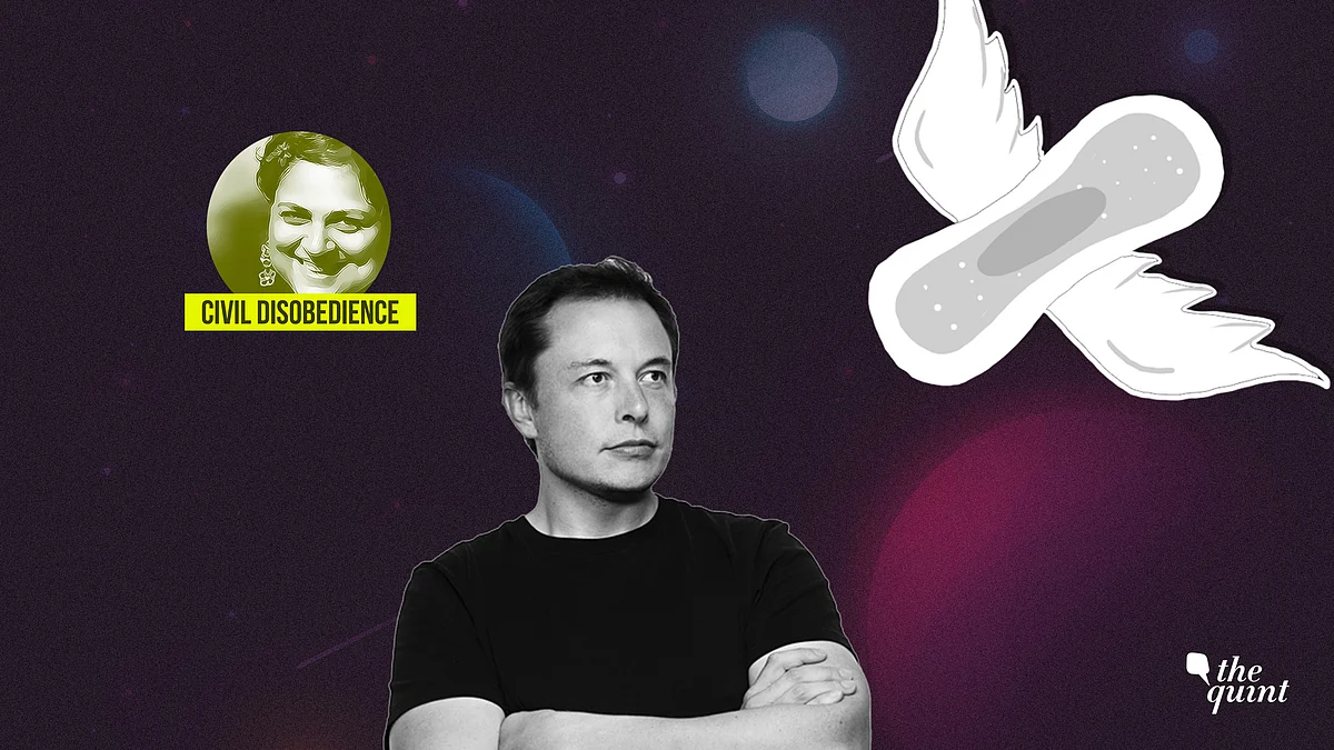 Dear Elon Musk, If You Want to Save Earth, Look Between My Legs