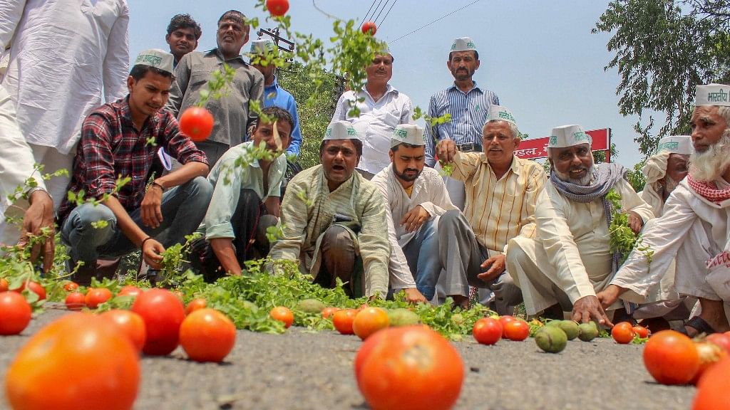 Farmers throw tomatoes on a road during protest over various issues.