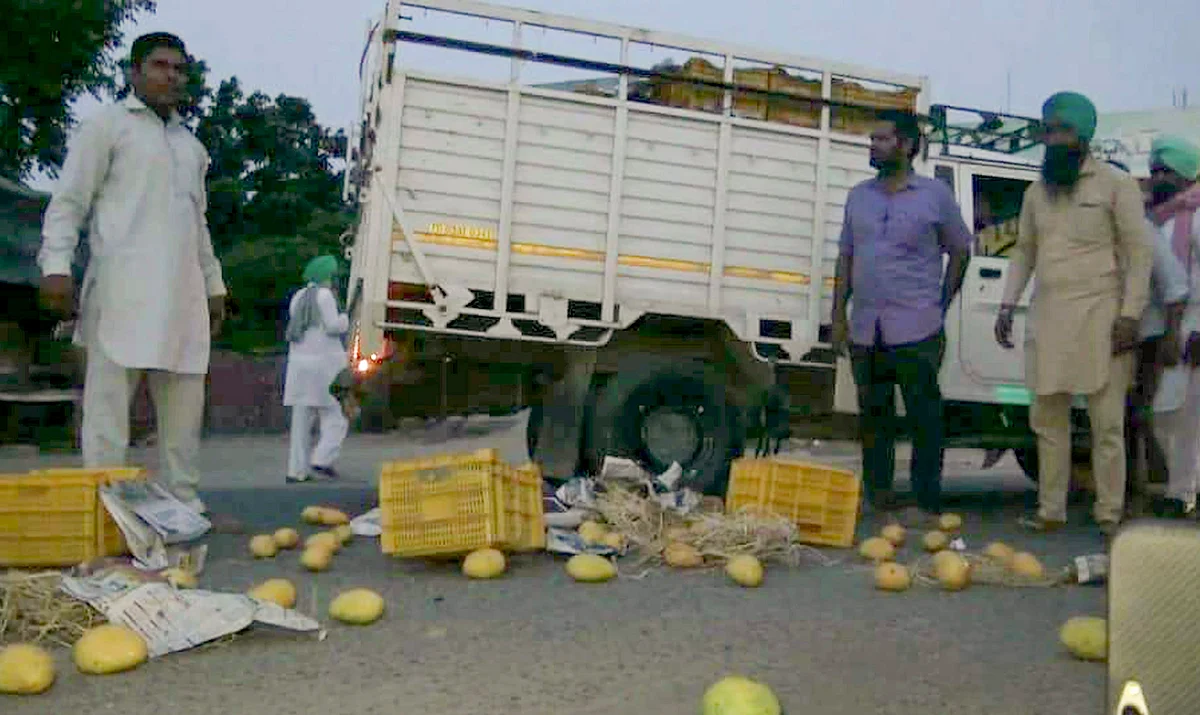 Famers dump all their produce on the streets