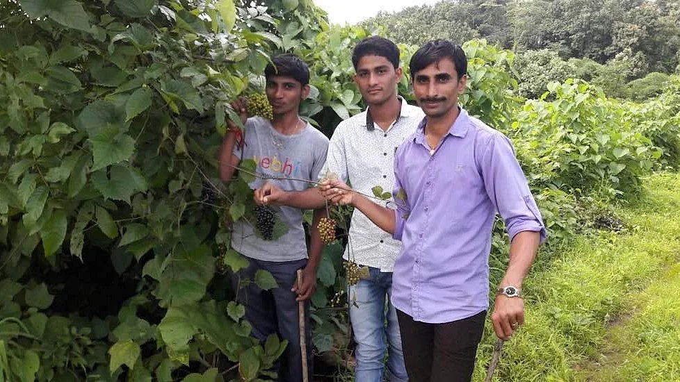 Youth from Poi village in the forest they conserved along with other villagers.