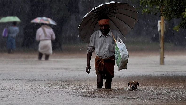 Heavy rains lash Kerala for over one and a half months. Image used for representational purposes.