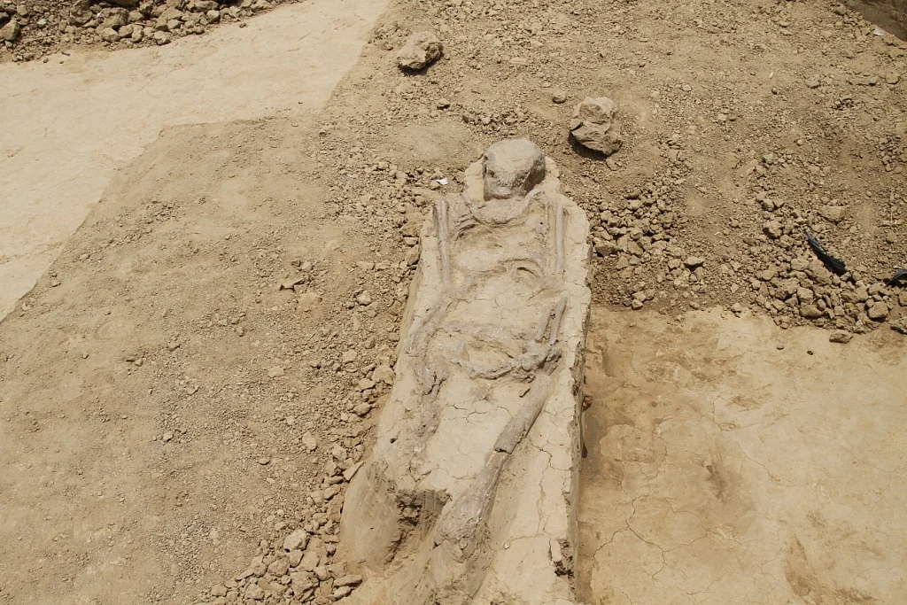 A woman’s skeleton.