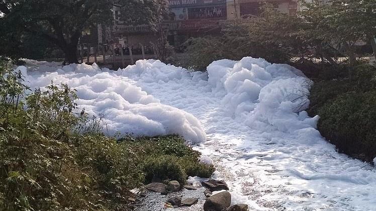 Bellandur Lake: NGT Asks Karnataka Govt  to Fund Rs 500 Cr Cleanup