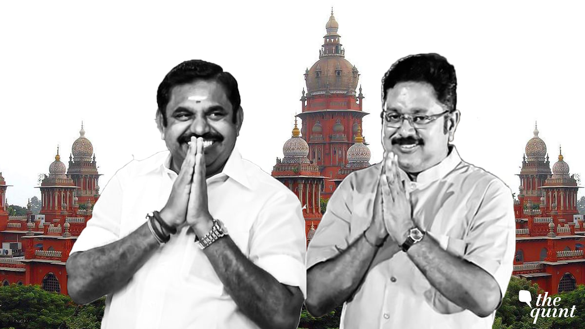 Tamil Nadu Chief Minister E Palaniswami and AIADMK leader TTV Dhinakaran.