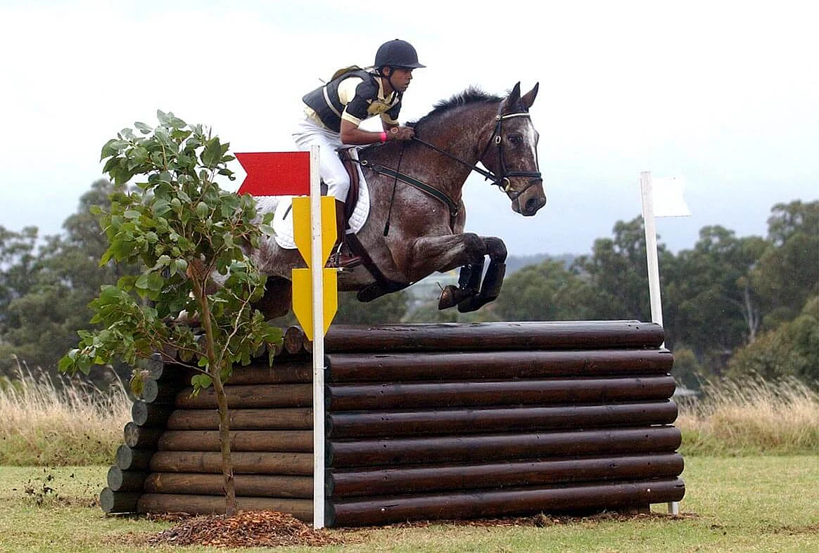Uphaar Tragedy Braveheart Rajesh Pattu Chases Asian Games Glory