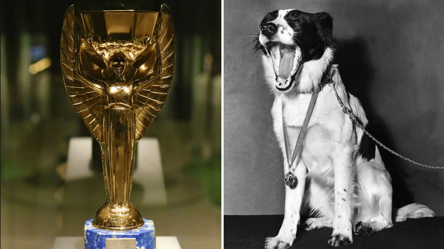 The 1966 World Cup Trophy, and Pickles