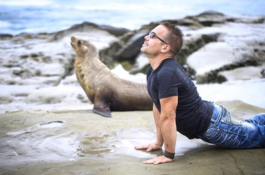 Take a look at these animals doing yoga!