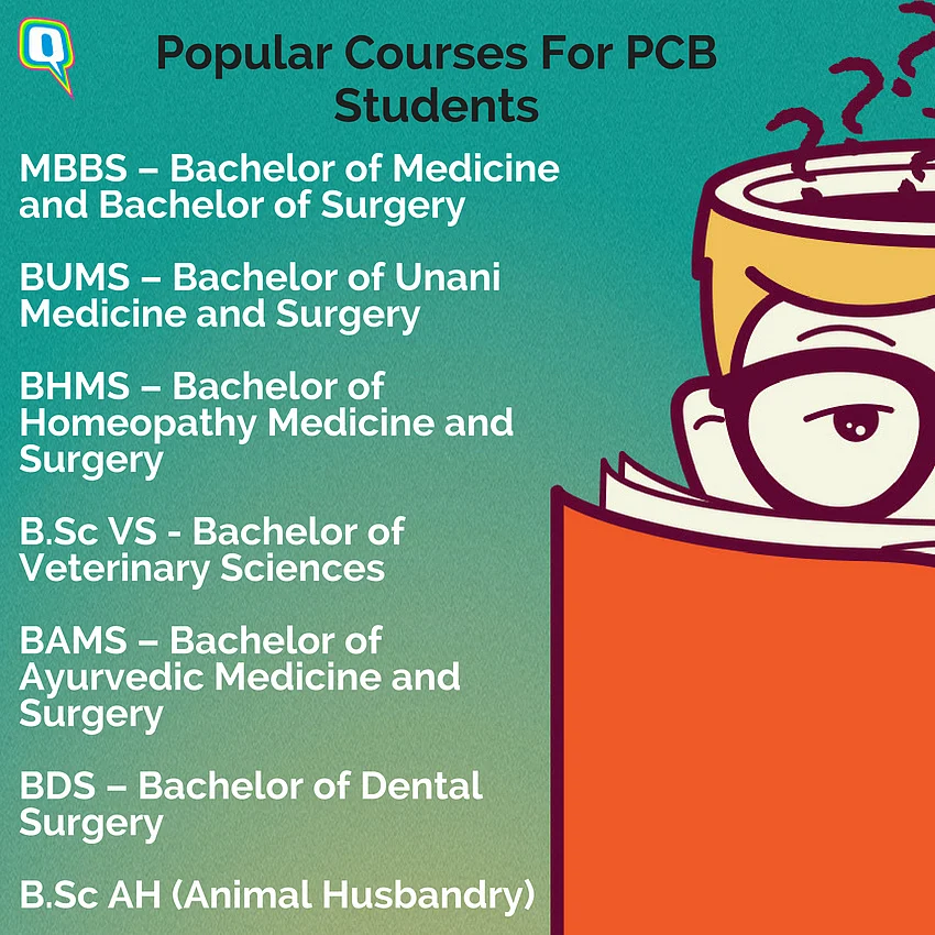 What Are the Popular Courses for PCB Students?