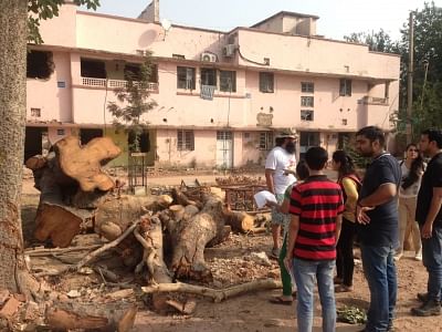 Residents of South Delhi standing next to the trees chopped for construction.