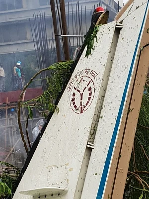 A broken wing of the ill-fated aircraft.