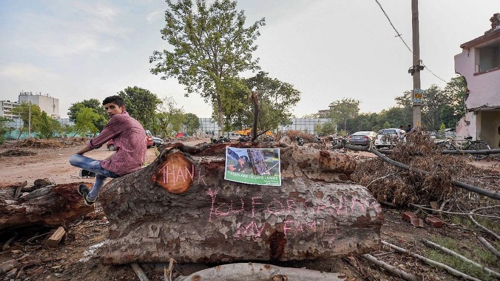  An activist sits on a tree log as he takes part in Delhi For Trees campaign to save trees, at Netaji Nagar in New Delhi on 30 June.&nbsp;