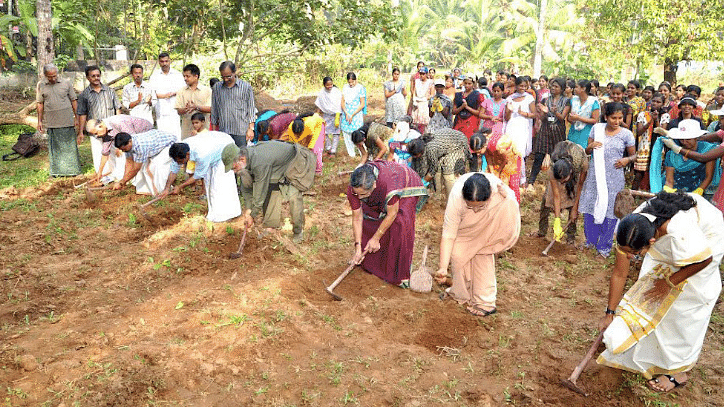 Community members prepare the ground to plant saplings.
