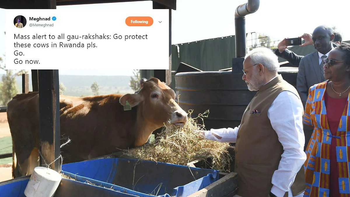 Twitter Laughs at Modi’s Promise of 200 Cows to Beef-Eating Rwanda