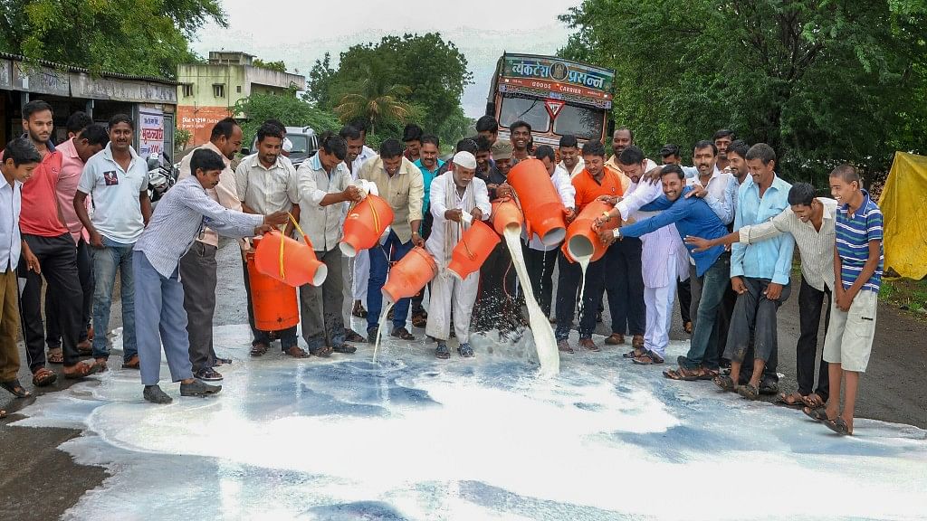 Dairy farmers across Maharashtra protest, demanding a hike in milk subsidy