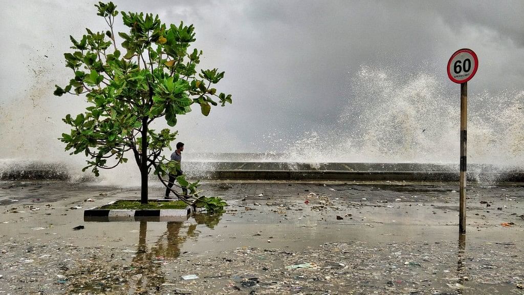 In Photos: Marine Drive Littered as Sea Returns Tonnes of Waste