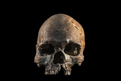 Skull from a HÃƒÂƒÃ‚Â²abÃƒÂƒÃ‚Â¬nhian person from Gua Cha archaeological site, Malaysian Peninsula. (Photo Credit: Fabio Lahr)