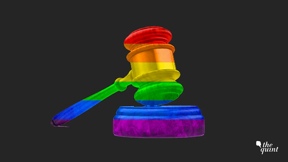 Noted activist Pinki Virani says IPC Section 377 should not be fully struck down. 
