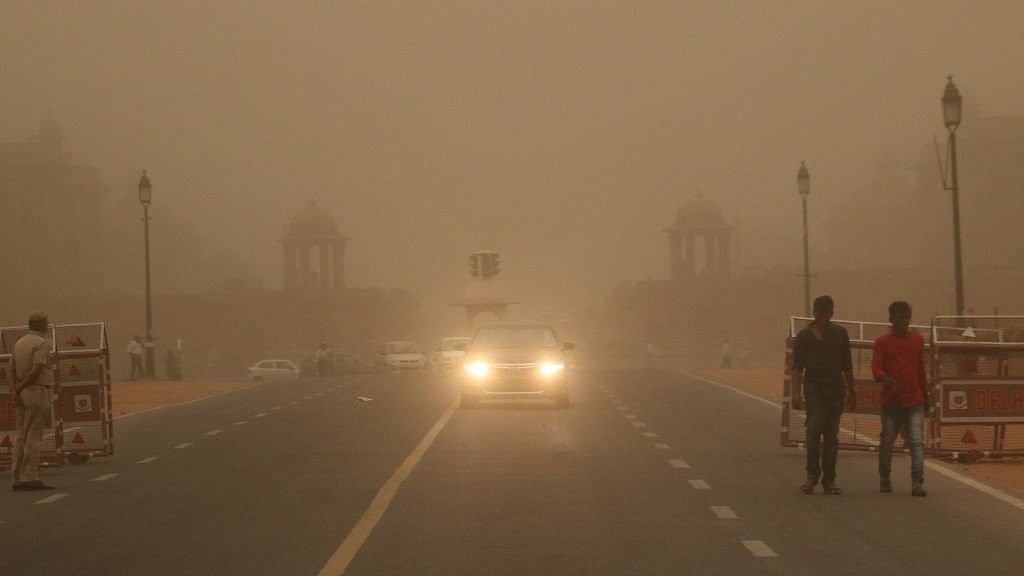 Delhi is to have a wall of nearly 31 lakh native trees encircling it soon to shield it from frequent dust storms blowing from Rajasthan.