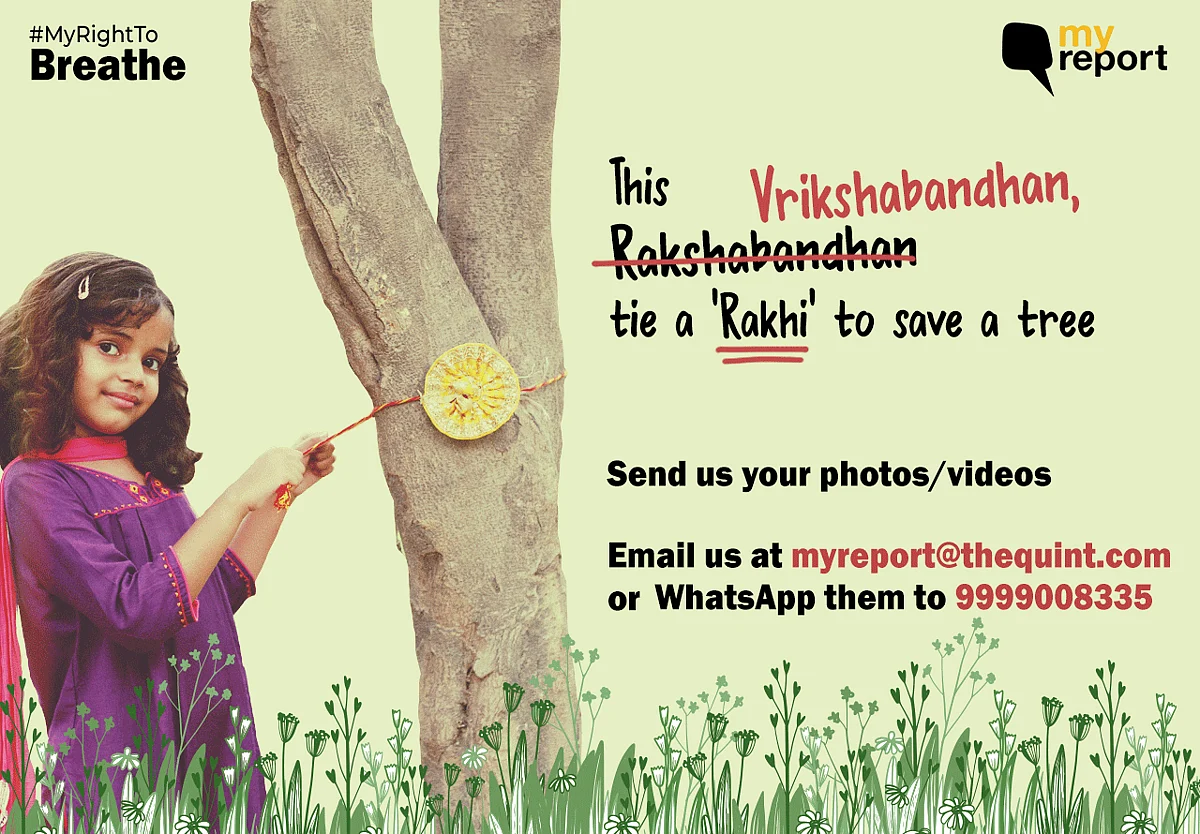 This Raksha Bandhan, Let’s Promise to Save Trees