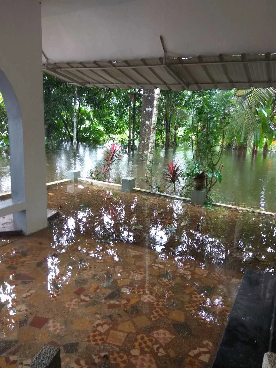 I woke up in the morning to see the porch turned into a private swimming pool.