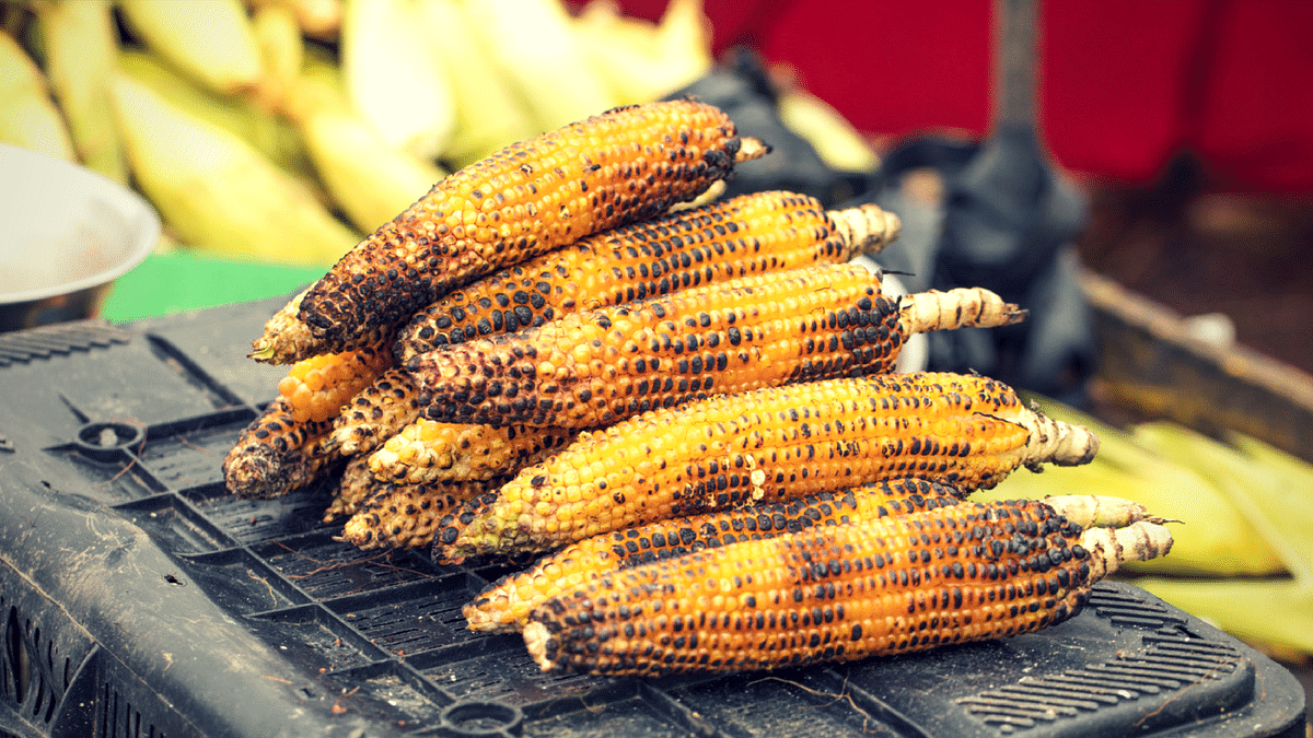 Fresh Off the Cob: Why is Bhutta India’s Favourite Monsoon Snack?